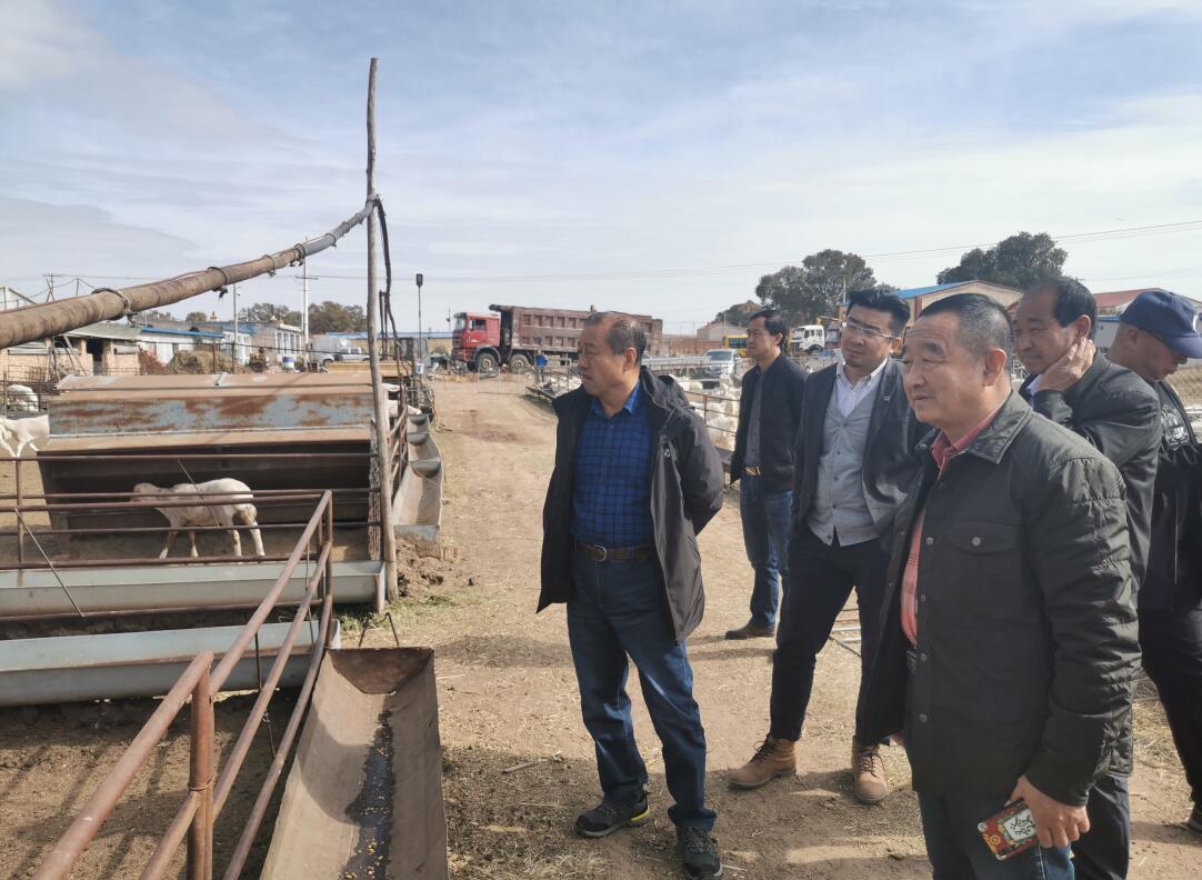 供應(yīng)鏈金融助推肉羊產(chǎn)業(yè)發(fā)展